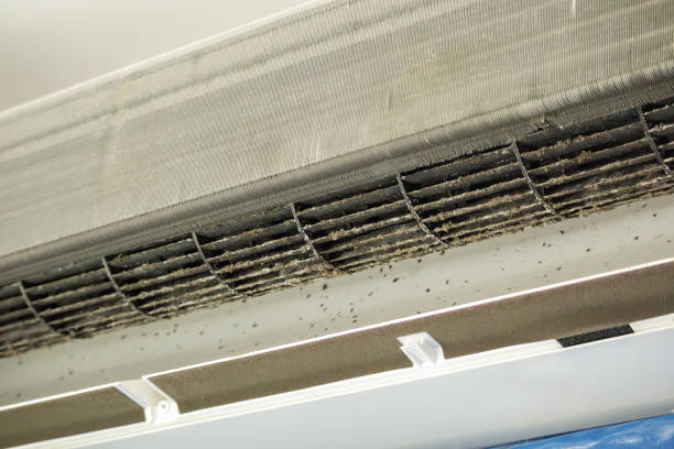 Best HVAC Maintenance and Cleaning  in Cecil Bishop, PA